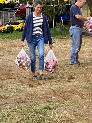 Poverty Lane Orchards by null