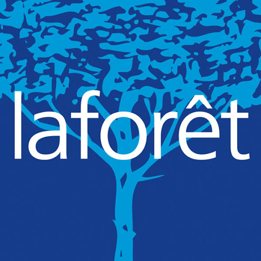 Agence immobilière Laforêt Concarneau Gallery - France