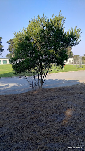 Pacific Grove Middle School Athletic Field - Thumbnail