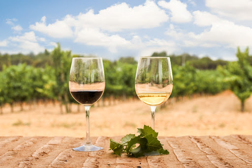 Dominio de Punctum (Oficinas)