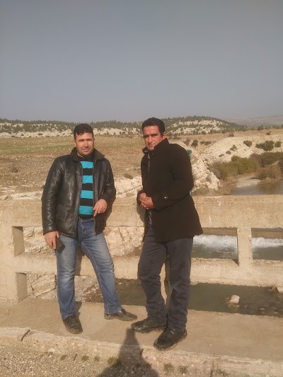 Photos of Kilis Şehitler Ormanı