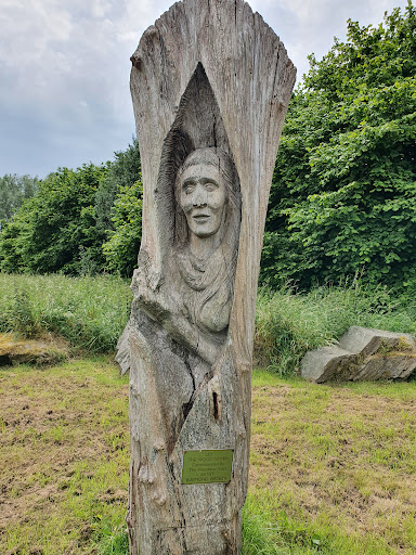 Corrog Wood