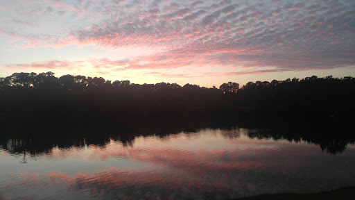 Joseph Tribble Park - Thumbnail