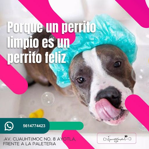 Mascotilandia