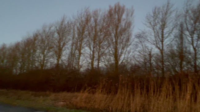 AVIS Billeje - Hirtshals