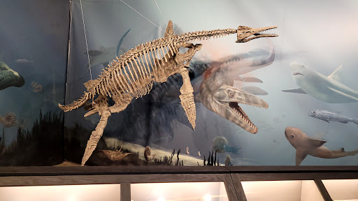 Canadian Fossil Discovery Centre Gallery - Canada