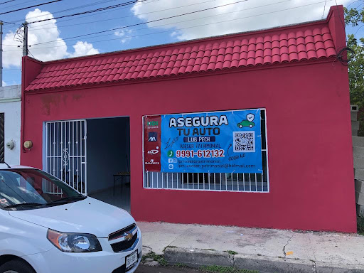 Luis Pech Seguros