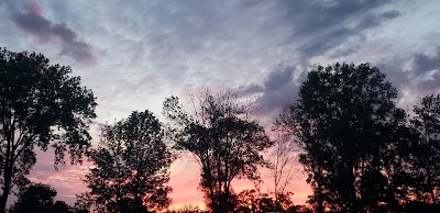 The Skyline Drive-In