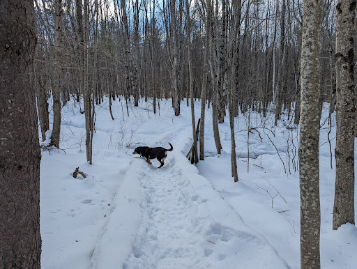 Waukewan Highlands Community Park - Thumbnail