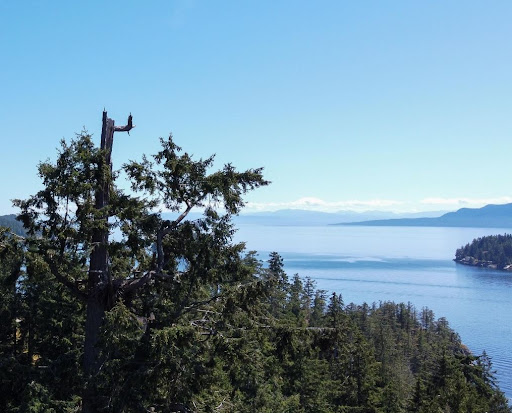 Manley, York & Associates- Real Estate Team Sunshine Coast BC