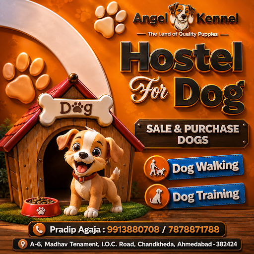 Dog hostel available in ahmedabad post image
