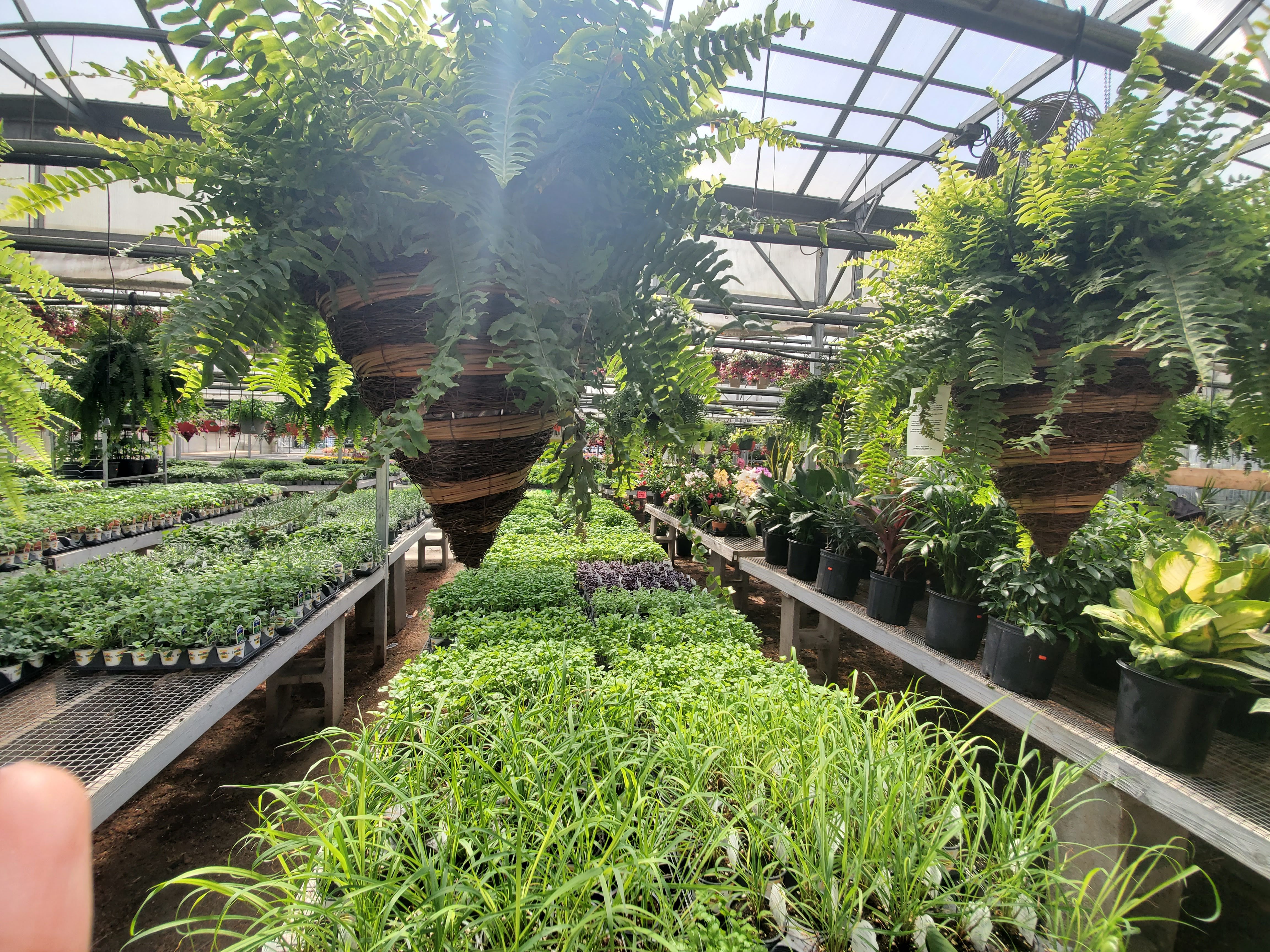 Dom's Garden Center