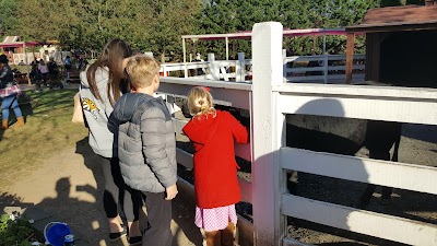 Photos of White Post Farms