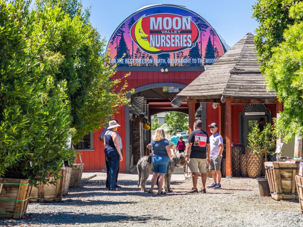 Moon Valley Nurseries | Brentwood