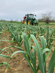 Photo n°20 de Lagarde Gilles à Ardizas (Siège social)