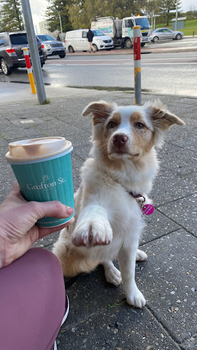 Drive Thru Coffee (Grafton Street) - Thumbnail