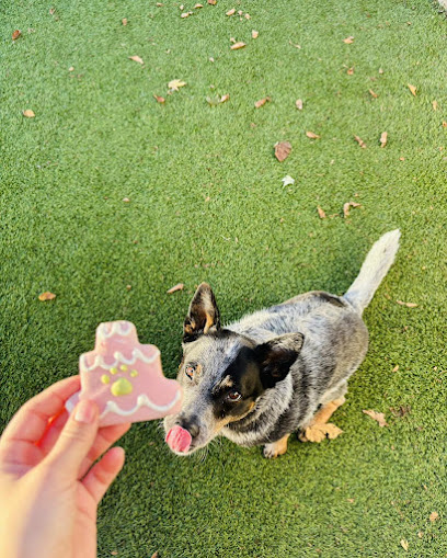 Paws 'n' Rec - Fayetteville