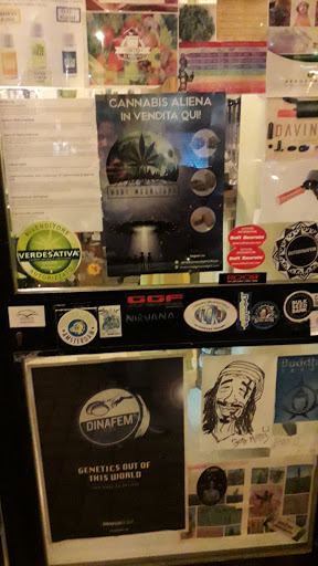 Mary Moonlight - Pianeta Verde [ Growshop - Hempshop - Smokeshop ] -- SGM - Milano -- - Thumbnail