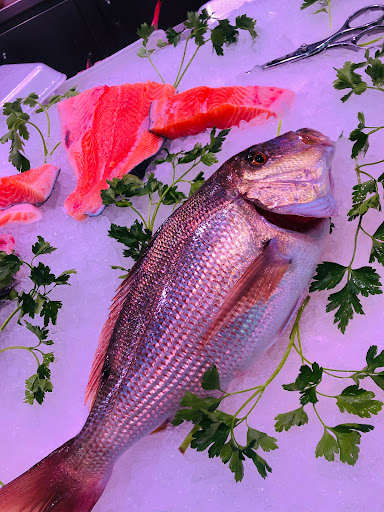 PEIXOSANDRA - Visual