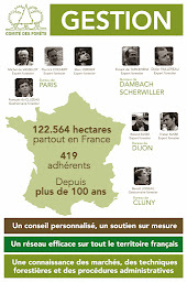 Photo n°7 de FORET PATRIMOINE à Cluny (Service forestier)