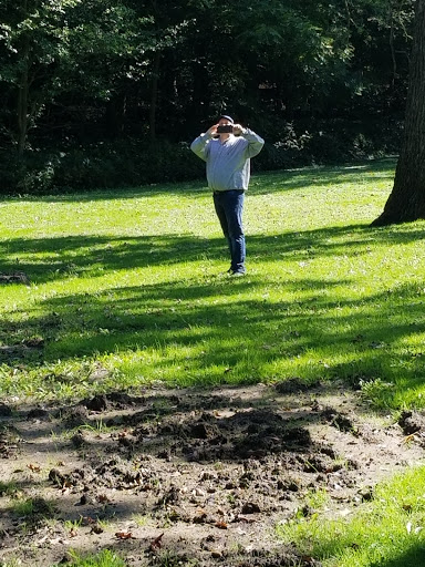 Marilla Park Disc Golf Course - Thumbnail