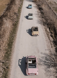 Photo n°28 de 4x4 Camargue Safari Tours ou en 2cv Deudeuches Camarguaises à Saintes-Maries-de-la-Mer (Parc animalier et safari)