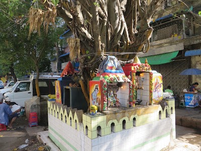 Photos of Pro Niti Travel