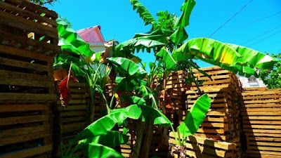 Photos of Bonacca