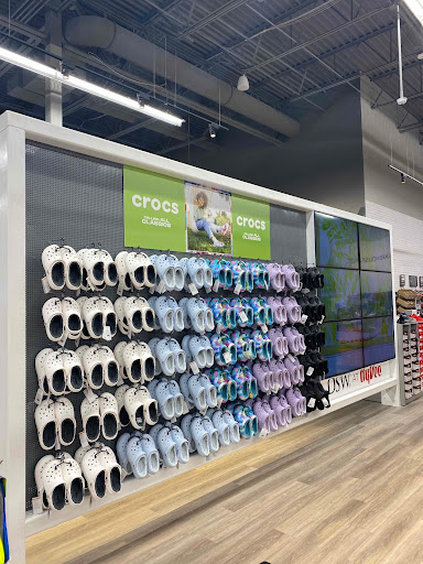 DSW