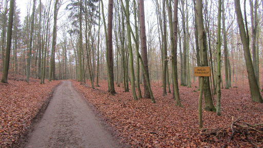 Waldfriedhof Eichenhain - Thumbnail