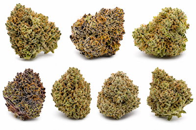 Photo of Sensi BUD Marijuana weed Delivery Dispensary