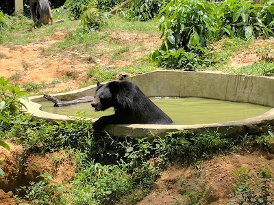 Photos of Ticketing Area for Hlawga National Park