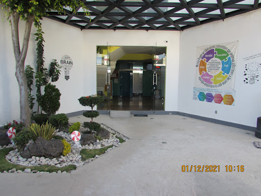 Trinity School Mx - Visual