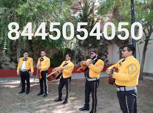Gran Mariachi Sonidos de Saltillo