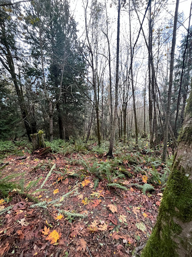North Viewpoint - Visual