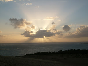 Photo n°3 de Odcvl Estuaire à Le Verdon-sur-Mer (Complexe hôtelier)