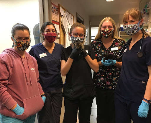 VCA Loomis Basin Veterinary Clinic