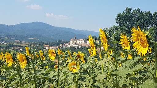 Borgo di Monterchi - Thumbnail