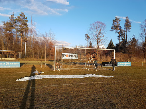 FC Penzing e.V. - Visual