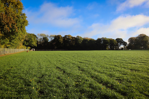 Paw Paddock - Moundsmere - United Kingdom