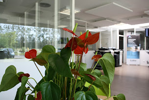 Photo n°8 de SBS Aveyron - Rodez à Onet-le-Château (Magasin de matériel de reprographie)