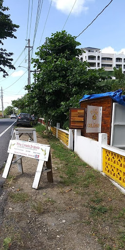 Piña Colada Brigada