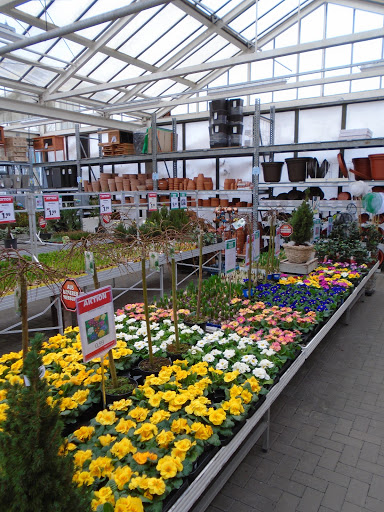 hagebaumarkt Sassnitz - Thumbnail