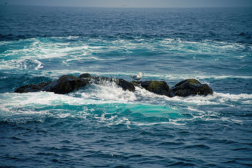 Anderson Vacations - Visual