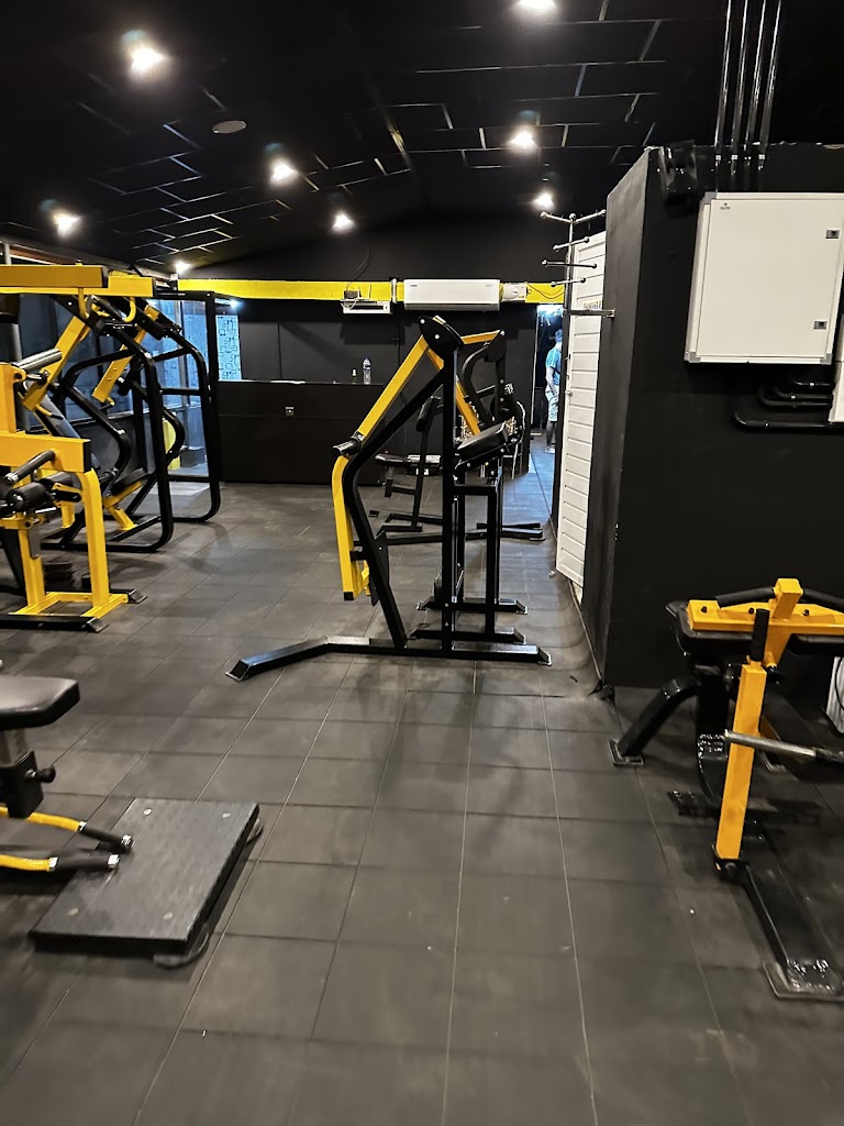 Sandow S Fitness Club A C Saaddoo S Phirrrrns Klbb E Si