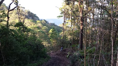 Photos of Cerro Del Aguila