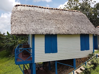 Photos of Hector Luis Prieto Tobacco Plantation