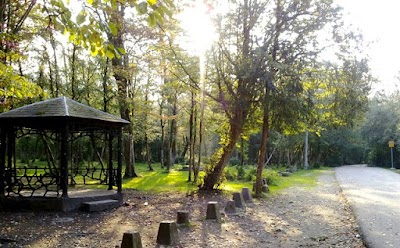Photos of Si Sangan Forest Park