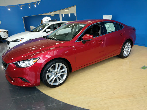 Fox Ford - Visual