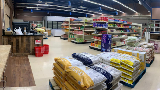 Noya Bazaar - Visual